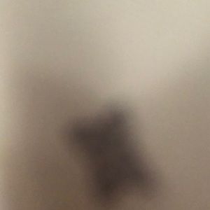 Meet your Posher, Karina